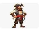 Pirate D
