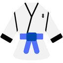 Blue Belt Level 8