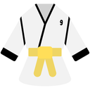 Yellow Belt Level 9