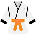 Orange Belt Level 6