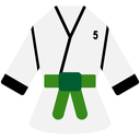 Green Belt Level 5