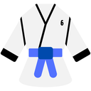 Blue Belt Level 6