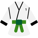 Green Belt Level 1