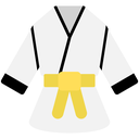 Yellow Belt